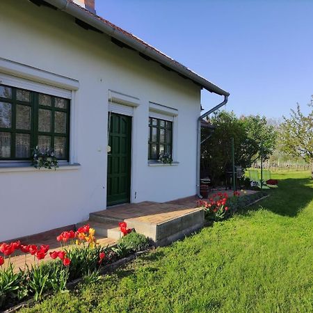Szolohegyi Haziko - Cottage In The Vineyard Балатонсемеш Экстерьер фото